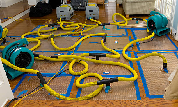Professional Emergency Water Removal technician working in Manville, NJ